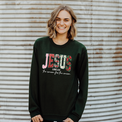 Jesus Luke 2:11 The Reason for the Season