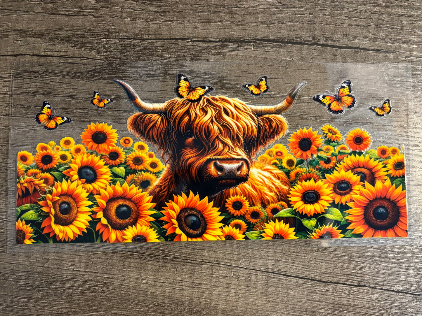UV DTF Glass Cup - Highland Cow in Sunflowers