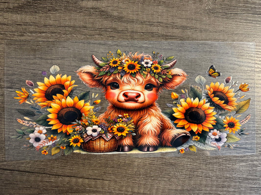 UV DTF Glass Cup - Baby Highland Cow With Sunflowers